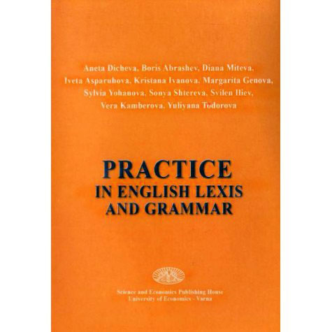 Practice in english lexis and grammar